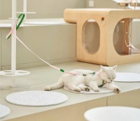 专题 | 宠物品牌pidan开咖啡首店，将“宠物友好”细分化