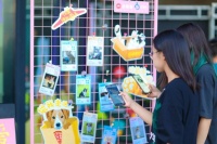 必胜客向流浪动物伸出“圆手”宠物友好展现必胜温度