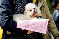 保持爱宠的卫生和健康，让你和宠物都快乐