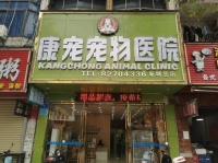 广州新塘康宠宠物医院：卓越医疗设备与技术，守护宠物健康