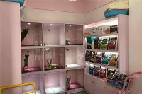 专业宠物店：不仅是宠物用品的提供者，更是宠物健康的专业守护者！