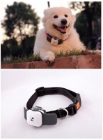 不用再为宠物走失担心了 宠物智能设备