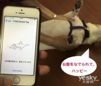 日本厂商推出ShiraseruAM 涉及宠物智能设备