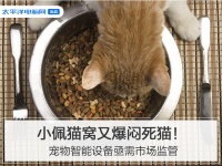 小佩猫窝又爆闷死猫！宠物智能设备急需市场监管