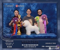 【图片】￼ 宠物美容师培训学校哪家好？未來已來，藍海已現！NGKC李朝順總經理近期走遍雲南1+X試點院校。教育部1【红贵宾吧】