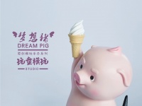 宠物医疗系统预约平台搭建（技术对接）