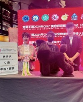 西安时尚宠物美容学校：宠物美容行业的璀璨新星