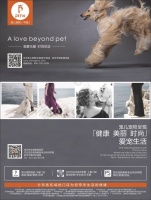 宠儿宠物时尚品味海报介绍平面广告素材免费下载(图片编号:4648248)