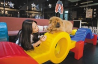 宁波宠物时尚消费红火 给狗狗拍写真要排到12月份