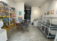 宠物店加盟品牌排行榜？汤姆狗时尚宠物医院全力打造实力品牌