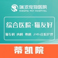 【文宠宠物医疗中心·24小时(中央美郡店)】文宠宠物医疗中心·24小时(中央美郡店)电话，文宠宠物医疗中心·24小时(中央美郡店)地址