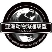 狗狗最近总是表现出一...