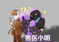 辟谣：狗狗被要求做各种检查，是在坑主人钱？细数不同检查的用处