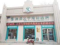 给宠物一般做的检查有那些？