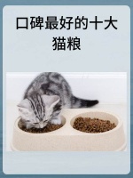 口碑最好的十大猫粮