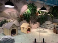 宠物乐园app下载