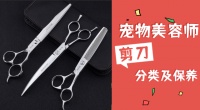 重庆宠物美容培训老师的美容工具有哪些？应该怎么保养？