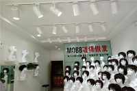 专业指导，全面解析宠物假发市场加盟优势！