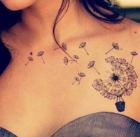 屁股被纹小脚丫，狗狗看了一脸懵逼，给无毛猫纹身有些太残忍！