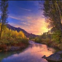 五分钟 有手就会 狗狗袜子diy