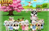 旺旺狗宠物区块链下载