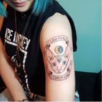 给猫纹身算是虐猫吗？