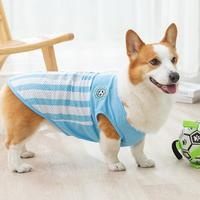 养宠物的100种场景将柯基训练成警犬是一个相当具有挑战性的任务