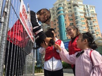 20只宠物犬待领养 想为它找个家快拨这个电话