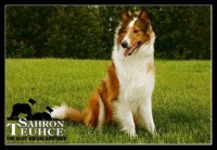 图瑟 Tuehcee （小名 阿图）