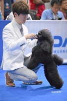 西安宠物美容培训机构