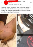 滑稽！美男子与爱犬纹同款纹身 实为宠物“阉割符”