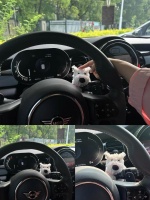 我的车载装饰品太可爱啦！西高地毛绒小狗汽车怀挡装饰品，不仅可