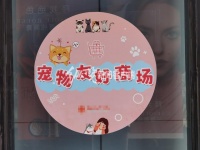纵览原创｜“宠物友好商场”现身石家庄，为顾客免费提供宠物隔尿垫、消毒液等