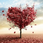 洛克王国魔法成长日记使用宠物背包中的宠物恢复治疗宠物是什么意？洛 爱问知识人