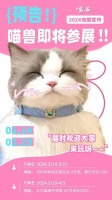 喵兽｜2024深圳宠物用品展览会我们来啦！
