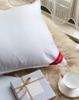 梦洁家纺 野兽派重工刺绣抱枕 灵蛇 45*45cm