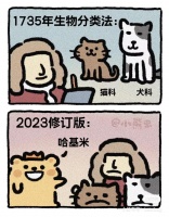 探鱼携蓝氏宠物跨界打造超萌mini猫粮礼盒，俘获“猫主子”们的心