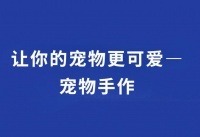 跃动学堂：让你的宠物更可爱——宠物手作