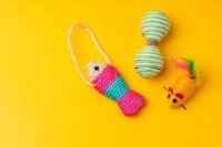 选购宠物玩具全攻略！智力