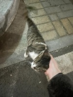 抱抱高高的狗狗出游必备清单全...@爱宠物的乐乐的动态