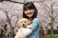 户外浴袍869元，攀岩胸背绳1400元……宠物的“精致露营”，有多烧钱？