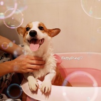 清明时节雨纷纷，@B...