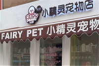 想创业？宠物户外装备市场等你发掘