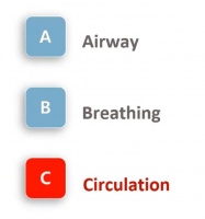 【课程干货】犬猫心肺复苏操作指南