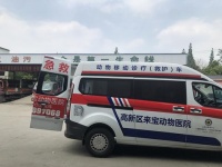 成都现宠物急救车 车上可手术已出车19次