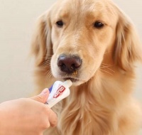 宠物营养膏哪个牌子好？