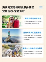 滳滴宠宠社区宠物活动，宠物派对即将上线，宠友们赶紧关注起来啦