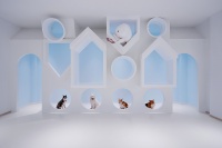 宠物店装修公司—狗狗派萌宠中心设计案例分享