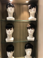 把握宠物假发市场机遇，开启你的创业之路！