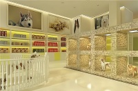 宠物行业新风口：宠物自助洗澡，你准备好了吗？